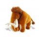 Ice age