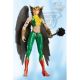 Hawkgirl
