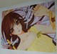 Vampire knight αφίσα