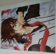Vampire knight poster