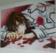 Vampire knight poster