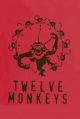 12 monkeys