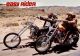 Easy rider