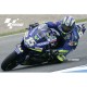 Motogp