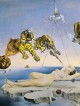 Salvador Dali