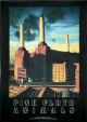 Pink floyd