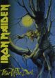 Iron Maiden