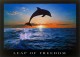 Leap of freedom
