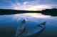 Boats